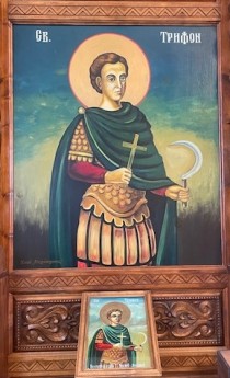 ТРИФОН ЗАРЕЗАН - ДЕН НА ЛОЗАРИТЕ, ВИНАРИТЕ, ГРАДИНАРИТЕ И КРЪЧМАРИТЕ